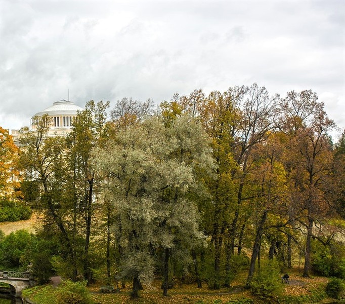 full_html_without_editor